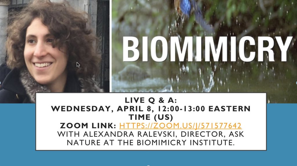 AskNatureTweets's tweet photo. What would you #asknature? Join @ciesfilm TODAY from 12pm to 1pm US EST, Live Q & A & discussion on the short film “#Biomimicry” with Alexandra Ralevski, Director, of @AskNatureTweets at the @BiomimicryInst:
https://t.co/AbQXGehHMZ
#CIES2020
#EdBeyondHuman https://t.co/u8fQ5ZF5FB