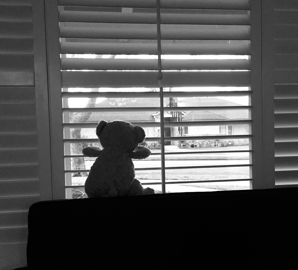 K_ReadLab's tweet photo. each of my kids seems to be on a different arc of coping with all the changes that sheltering and the loss of school are causing. anxiety, exuberance, misbehavior, misery. as a developmental psychologist it's fascinating, as a parent its heartbreaking and exhausting. #DevPsycMom https://t.co/SGTRei80fO