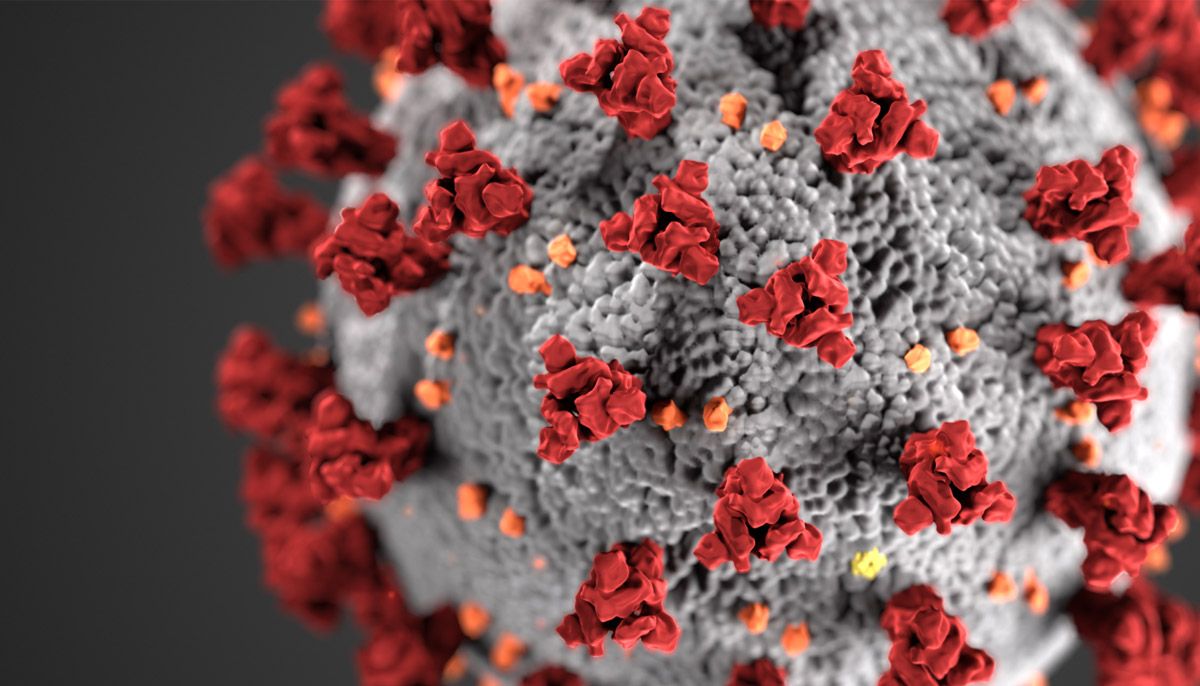 SeattleSB's tweet image. Question:  I am considering at-home insemination, where can I find more information?
Answer:  Please see our linked webpage!  buff.ly/2yJSYdV