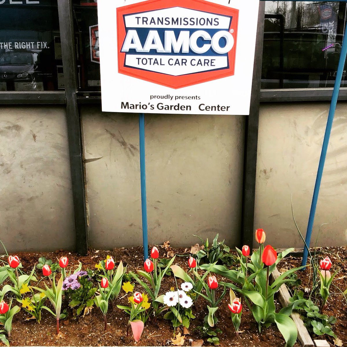 AamcoNorwalk's tweet photo. Mario’s Garden is back for springtime, and more beautiful than ever! We hope everyone is staying safe and at home, and praying the end of this disaster is in our sights! 

#flattenthecurve #mariosgardencenter
#aamconorwalk #wefixitright #checkenginelight #oilchange https://t.co/hFgcKyq68g