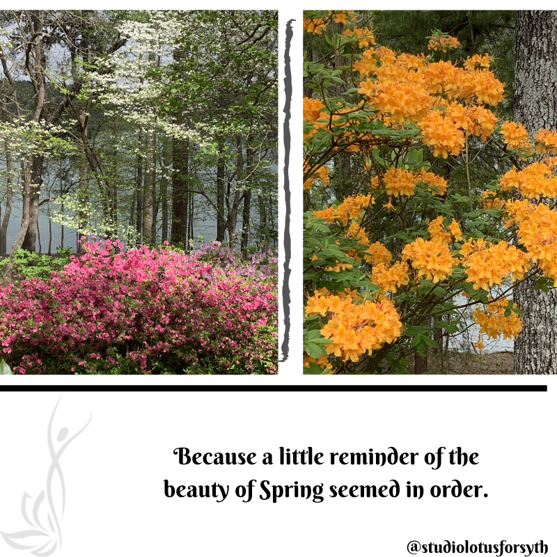 PilatesForsyth's tweet photo. Find beauty and happiness where you can... https://t.co/yYpNzSARji