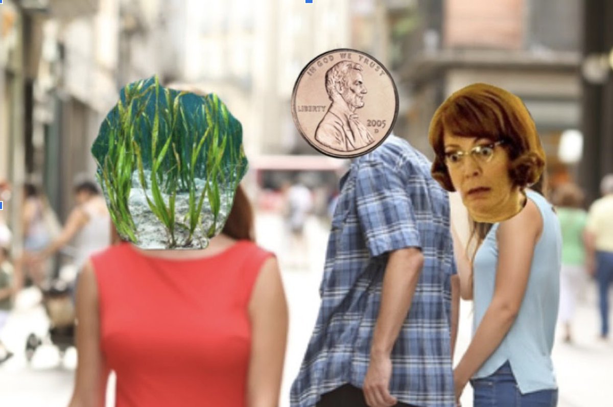 FSSTheater's tweet photo. When Drama II students are asked to make memes for "Hairspray" during their musical theater unit #iSelectLearning https://t.co/FyRzI5kQoV