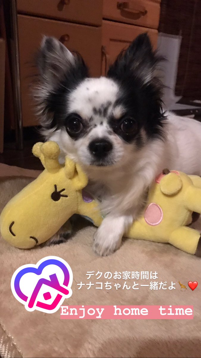 cozzzze's tweet photo. 春のワンダー中止のお知らせです⚠️
ウイルスの大爆発には勝てませんが
夏のワンダーでは爆発的に楽しみましょうね😊🚗❤️夏のワンダーは7/26
お家時間をフルに楽しみましょう https://t.co/LLkGbuhU8c