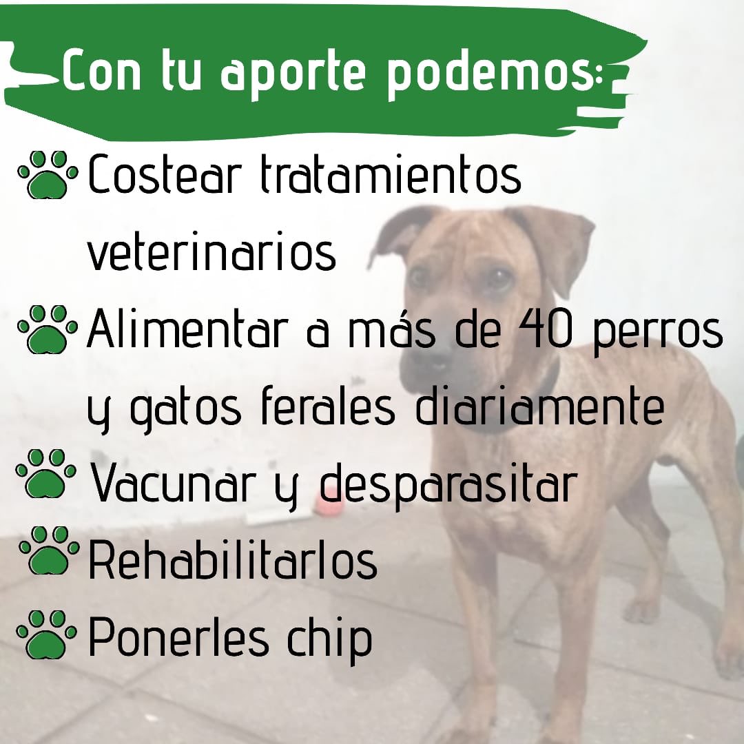 AEDA (@grupoaeda) on Twitter photo 