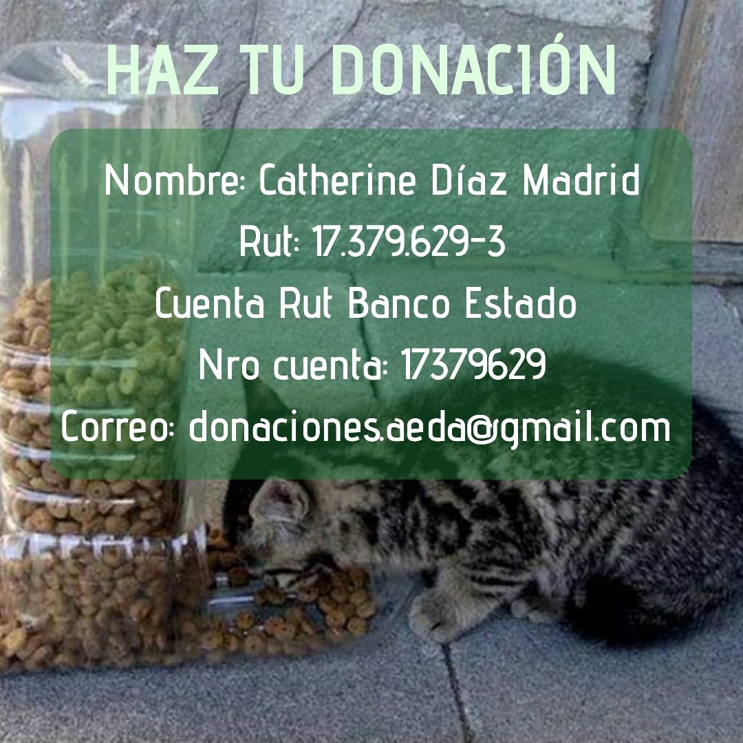 AEDA (@grupoaeda) on Twitter photo 