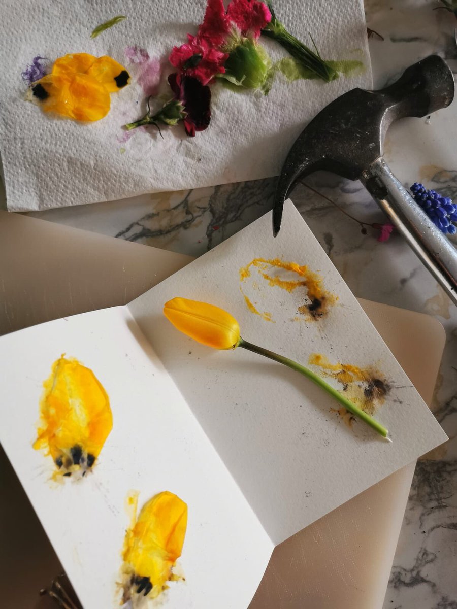 CODAapeldoorn's tweet photo. Maak je eigen bioprints van bloemen & planten met CODA Cultuur(t)huis: een (voor)proefje van één van onze workshops met natuurlijke materialen. #biodesignlab #dethuiseditie #wegotthis #recycling #DIY #inspiratie Ontdek het hier > https://t.co/dC0DYIzQsZ https://t.co/urB7JQe7Rk