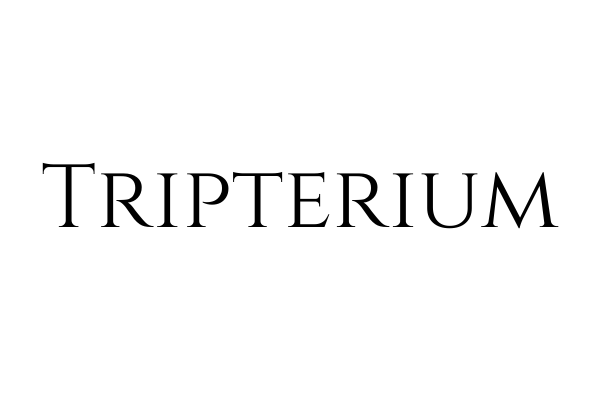 tripterium's tweet photo. https://t.co/iQ87BUeyhB