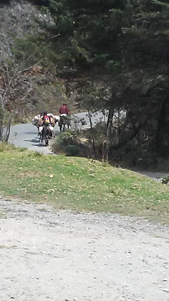 Ver imagen en Twitter