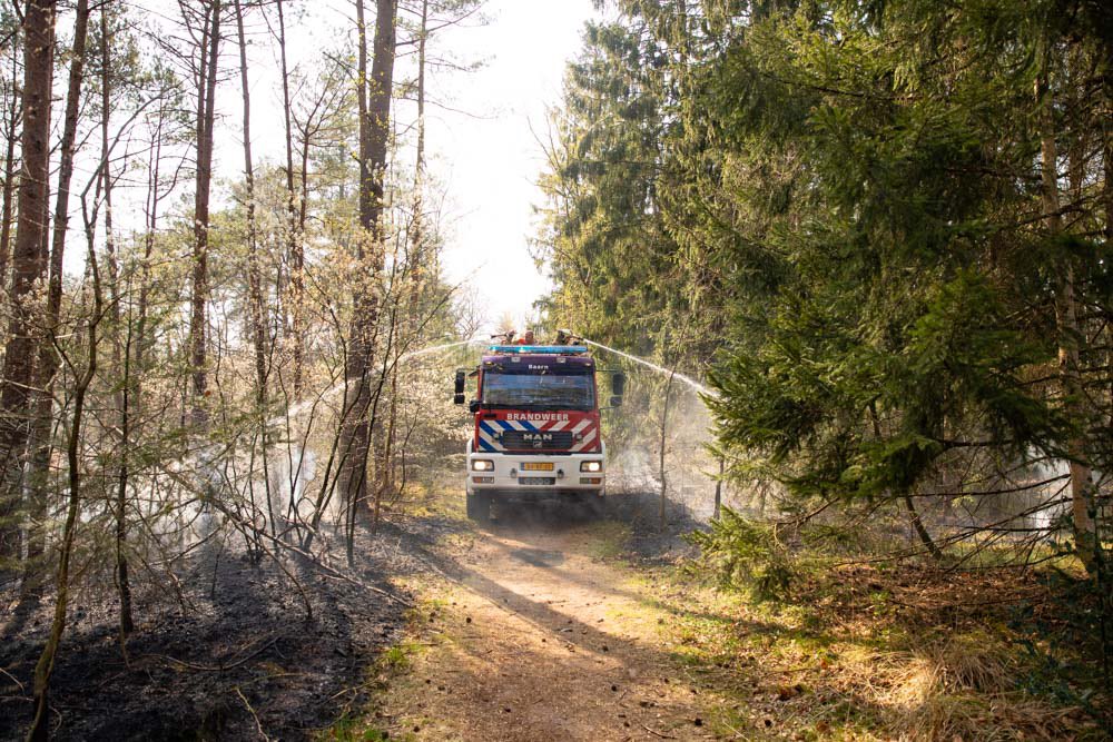  OlafRobberse.com tweet media