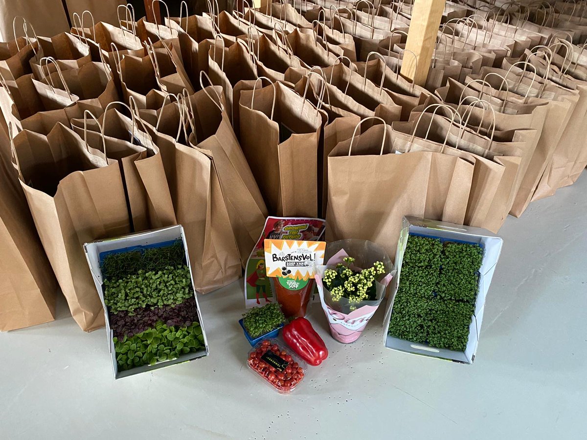 WorldHortiCentr's tweet image. World Horti Center en @GrowWizzKid sloegen de handen ineen om namens de Nederlandse tuinbouw honderden kinderen te voorzien van een gezonde verrassing. 
#flowerboostchallenge #vitaminecchallenge

Lees hier meer over de actie: worldhorticenter.nl/nl/nieuws/gezo…