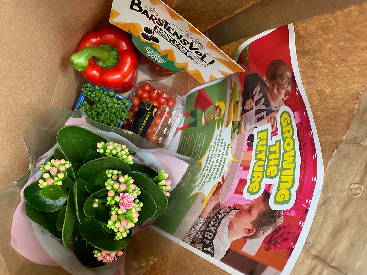 WorldHortiCentr's tweet image. World Horti Center en @GrowWizzKid sloegen de handen ineen om namens de Nederlandse tuinbouw honderden kinderen te voorzien van een gezonde verrassing. 
#flowerboostchallenge #vitaminecchallenge

Lees hier meer over de actie: worldhorticenter.nl/nl/nieuws/gezo…