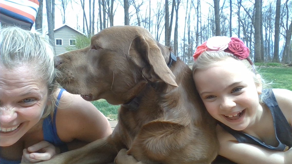 sciencec302's tweet photo. Happy Pet Day... Actually harder than you think to take a photo with your pups with out getting covered in kisses! #rlkeeplearning #rlcommunitypride #rlfutureready #beautifulday #DogsofTwittter https://t.co/tC4WLpX3vy