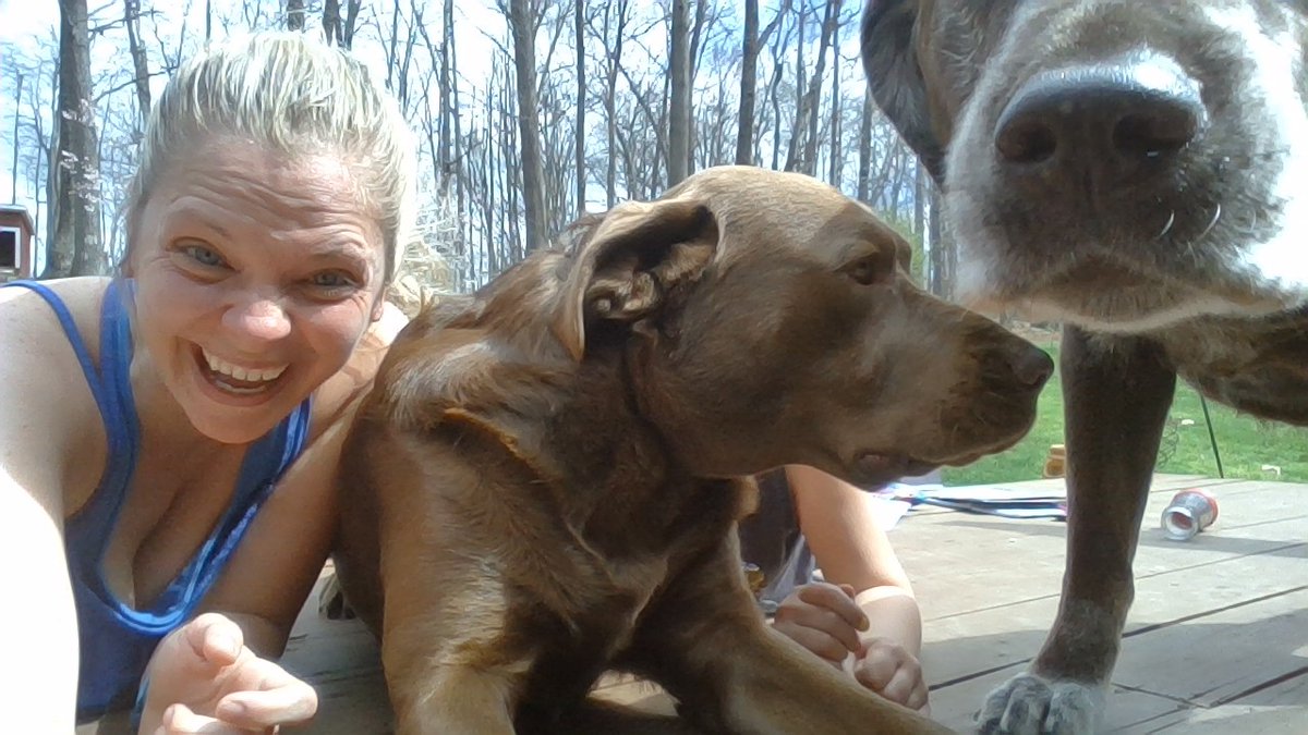 sciencec302's tweet photo. Happy Pet Day... Actually harder than you think to take a photo with your pups with out getting covered in kisses! #rlkeeplearning #rlcommunitypride #rlfutureready #beautifulday #DogsofTwittter https://t.co/tC4WLpX3vy