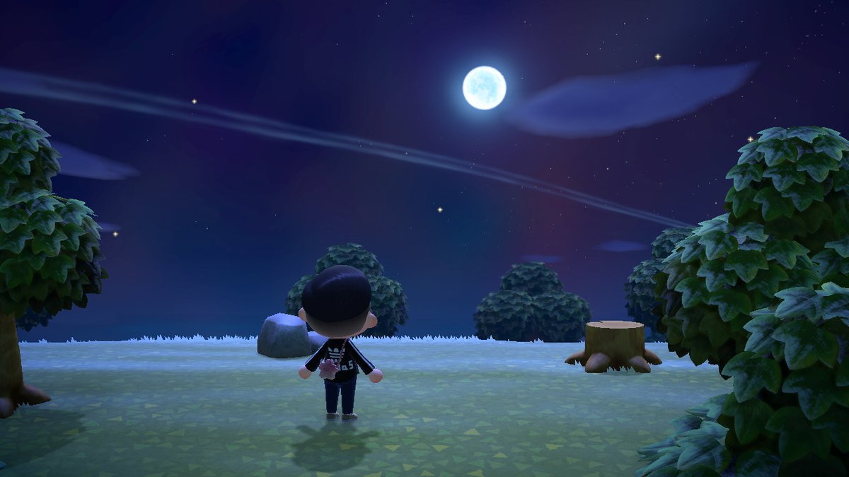 Anothercosmic's tweet photo. #동물의숲 #AnimalCrossing #ACNH #NintendoSwitch https://t.co/lmBhj8lJFl
