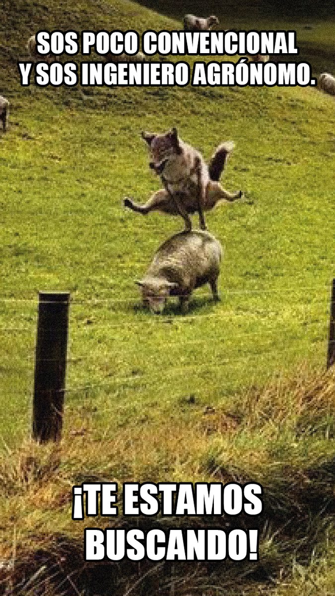 Búsqueda Laboral. 
Estamos buscando un ing. agrónomo o veterinario de la @$%#/&amp; , para un unirse al equipo de Feedvax .
Si sos poco convencional, te estamos buscando.

Más en:
lnkd.in/ePXKZPT