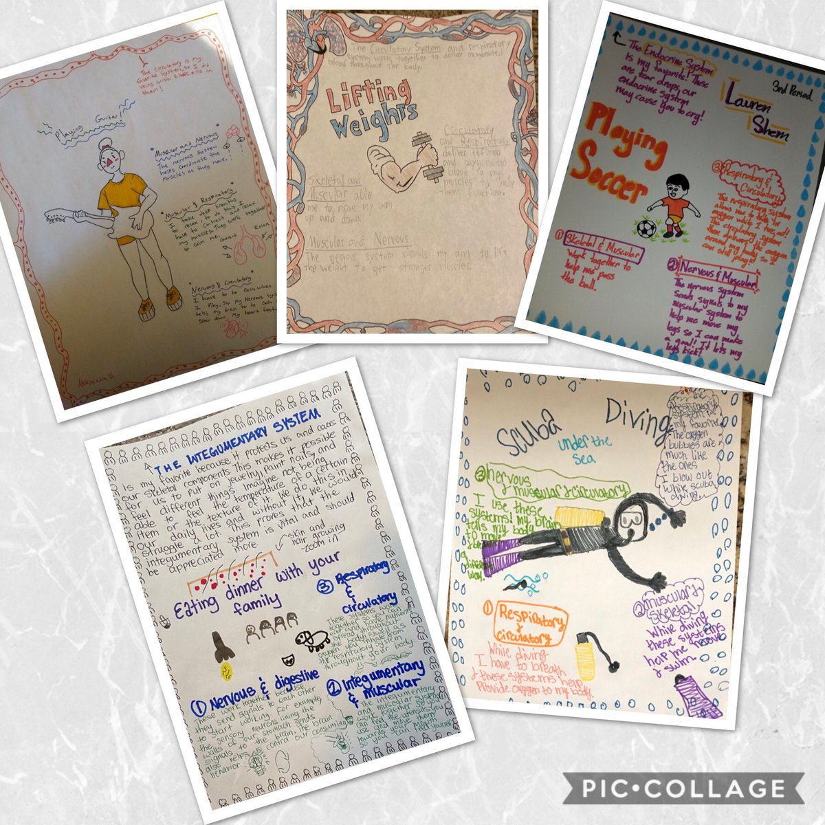 MsStewart_WLMS's tweet photo. My students are amazing!  I love reading their body systems interactions posters. They make grading FUN!  #WLMSimpact #WLMStwitterchallenge @WL_LovesScience https://t.co/liuVD8HrBL