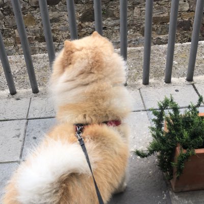 Monxo86's tweet photo. #NuevaFotoDePerfil https://t.co/kYHLbXFmFz