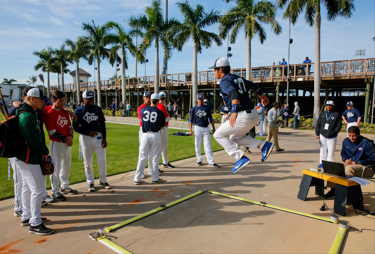 MLB/USA Baseball PDP tweet media