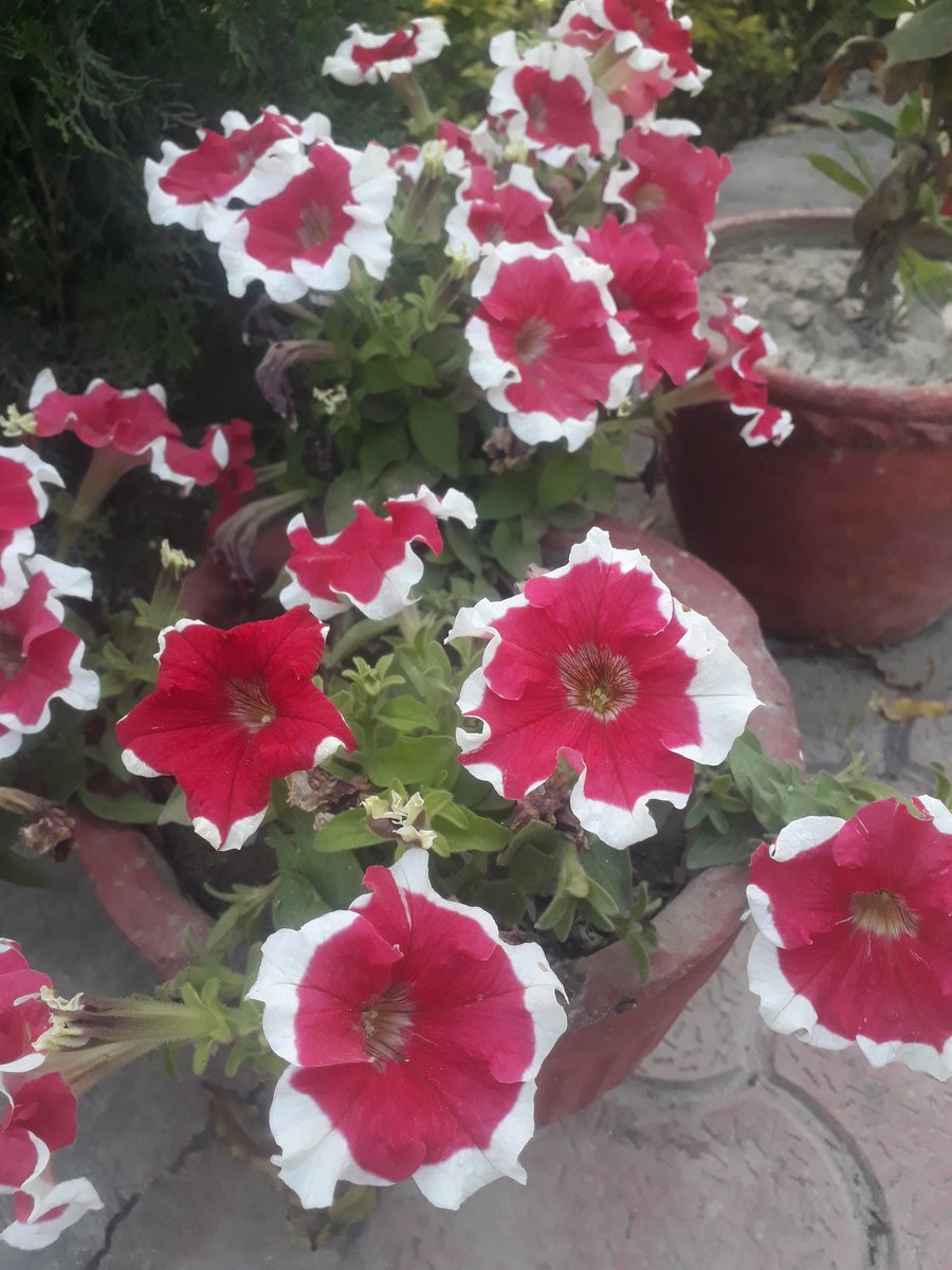 Aneesaadeez's tweet image. #Lets_guide

@localguides 
@googlemaps