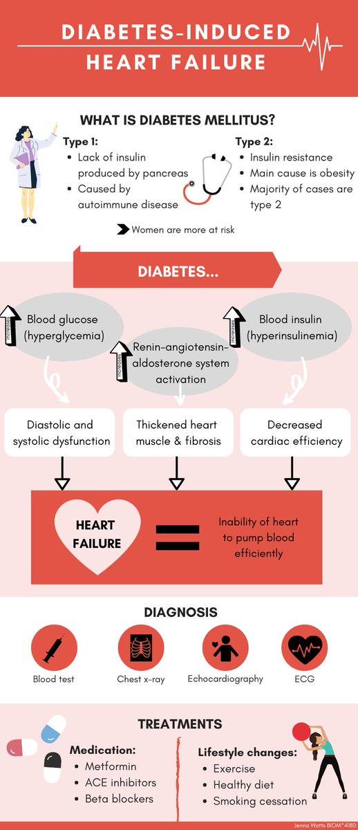 jennaaaawatts's tweet photo. Do you know someone with diabetes? The answer is probably yes. 

Diabetes is a well-known and common disease, yet the complication of heart failure is unspoken of. Learn about diabetes-induced heart failure in this infographic so it can become a better known disease! #biom4180 https://t.co/MfCByUevnI
