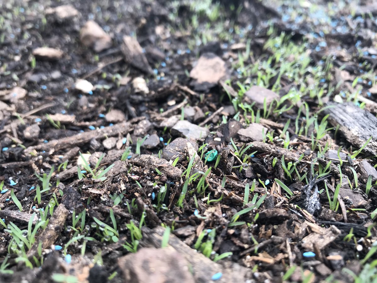 Ron Palinkas (@ronpalinkas) on Twitter photo 