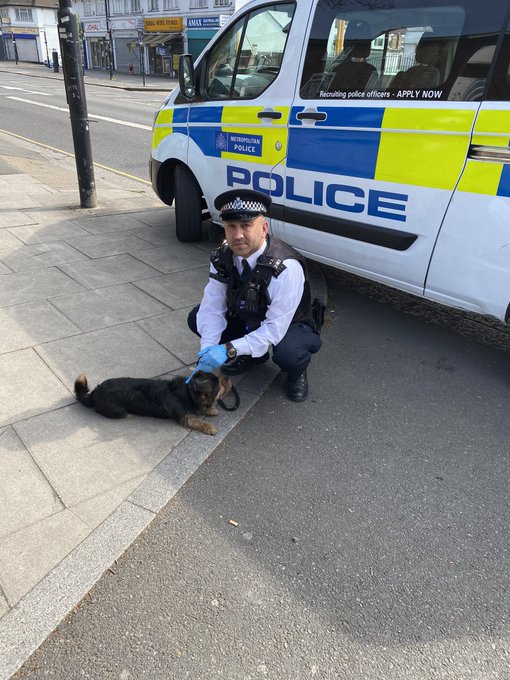 Ealing Police tweet media