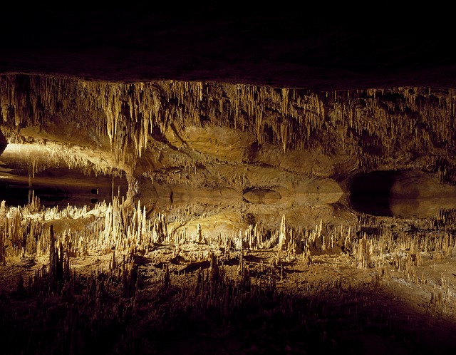 ClacBelt's tweet photo. #Bored in #quarantine? see the world through the eyes of a a #bat on this virtual tour to Carlsbad caverns in New Mexico https://t.co/c9Xyp97Uj1
Or you can always go to https://t.co/jqvdm2F10n to find the best belts and bags shipped FREE to your door. #fashion #entertainment https://t.co/8RtQZ3pPlj