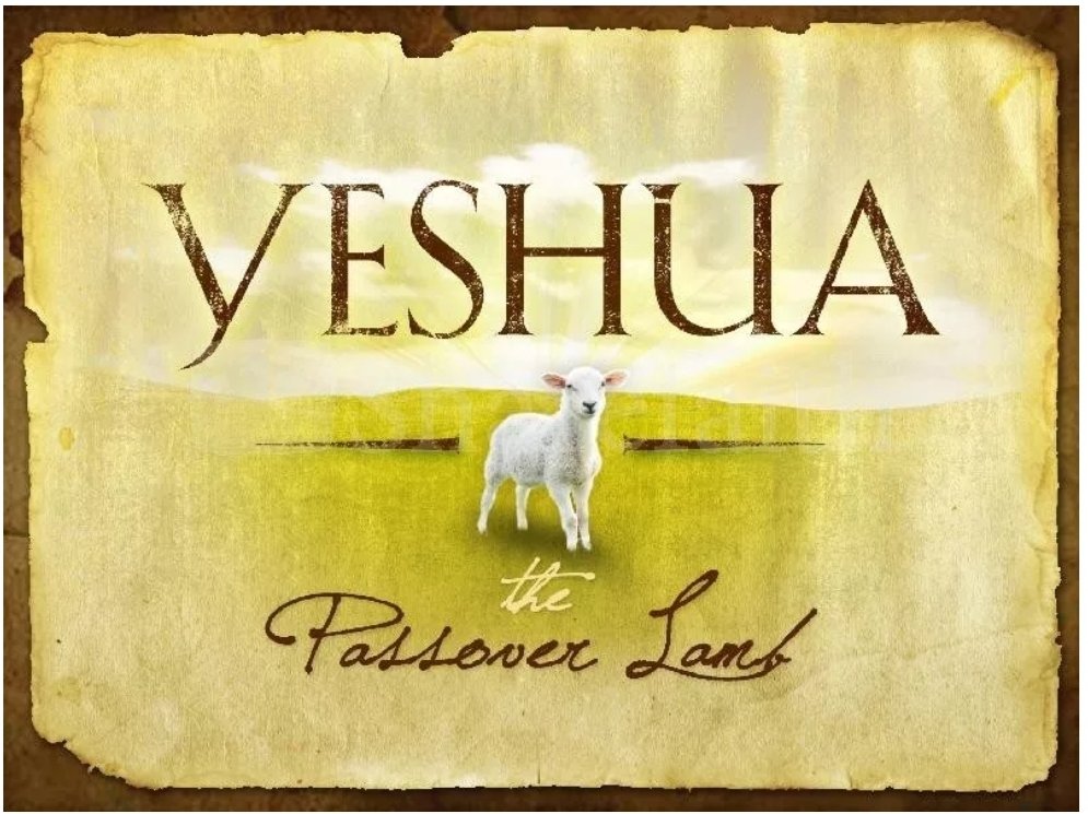 Justice4GPM's tweet photo. Wishing everyone a blessed and meaningful Passover 😘

Yeshua is our Passover Lamb 👑🙏

#Pesach
#Passover2020 https://t.co/fka5kaVhXk