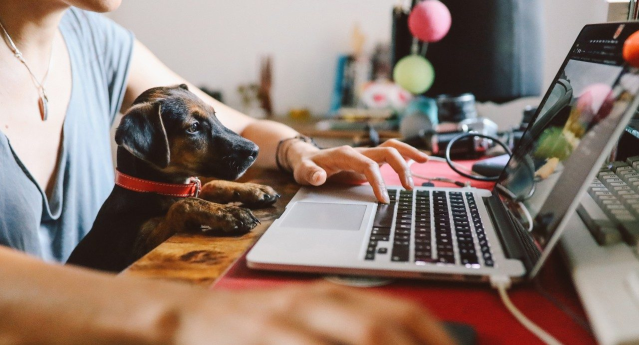 ramensen's tweet photo. With most of us working from home due to COVID 19, it is important that we have our eyes on cyber security..excellent set of guidelines for us to follow- https://t.co/UqZGNVBdCo https://t.co/XjYqrrbnC5