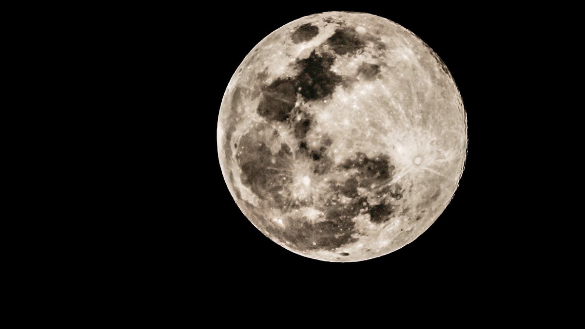 Genaro Delgado tweet media