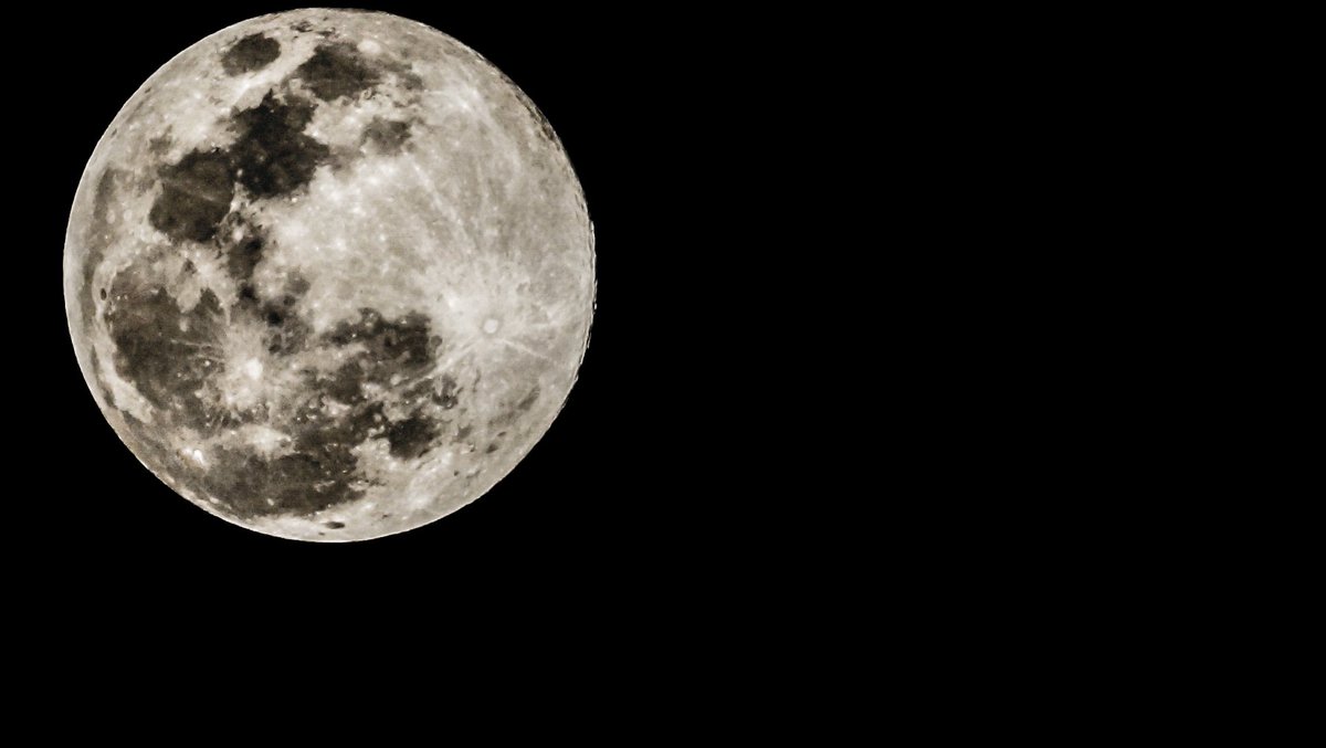 Genaro Delgado tweet media