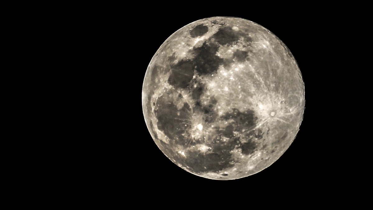 Genaro Delgado tweet media