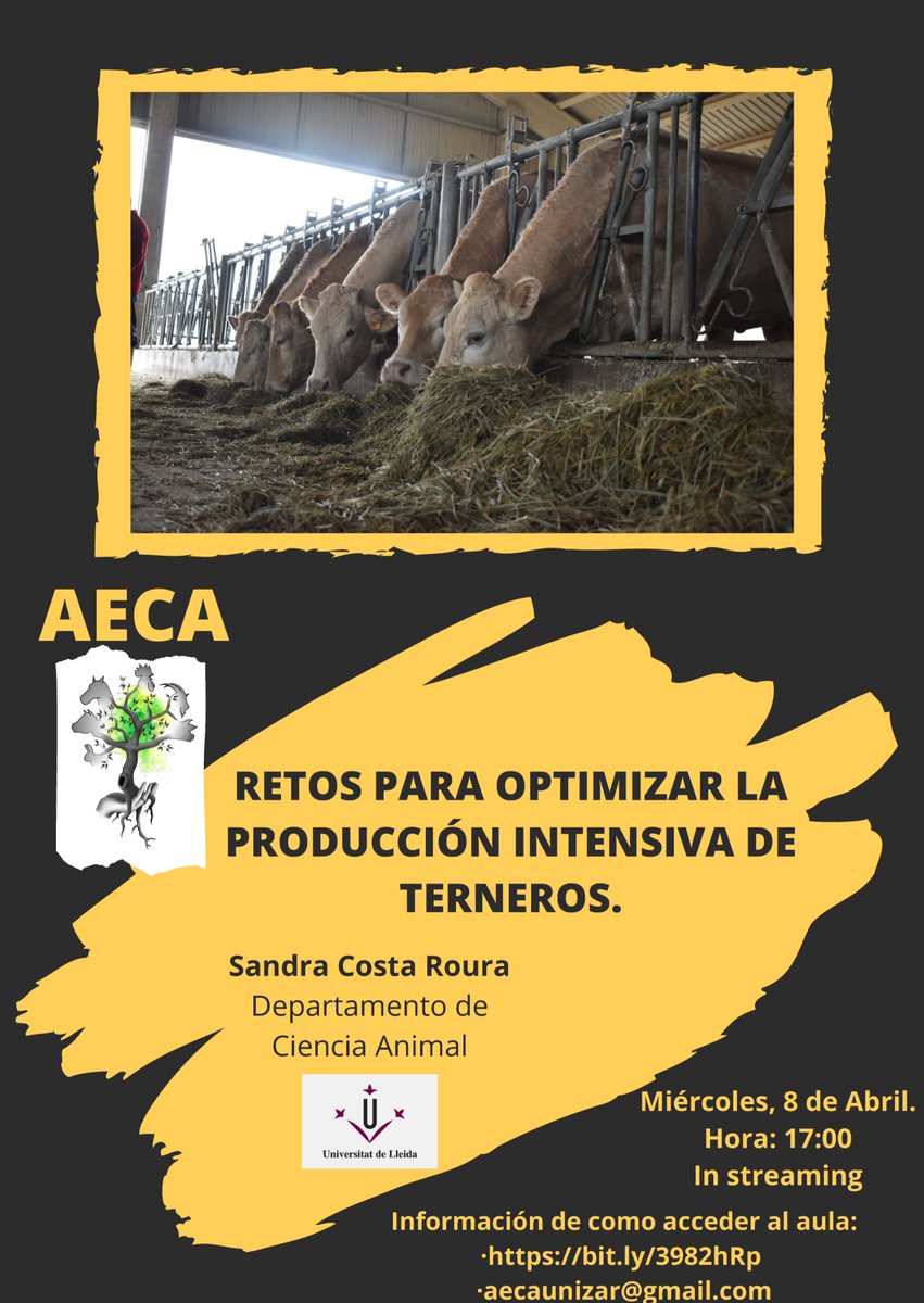 FVeterinariaUZ's tweet photo. Conf online hoy 17h
“RETOS PARA OPTIMIZAR LA PRODUCCIÓN INTENSIVA DE TERNEROS” 
por Sandra Costa Roura. Departamento de Ciencia Animal. Universitat de Lleida
Organiza Asociación de Estudiantes de Ciencia Animal (AECA) de @FVeterinariaUZ 
https://t.co/D1ZC45qaY1
+Info en imagen https://t.co/DyLwfhBeXI