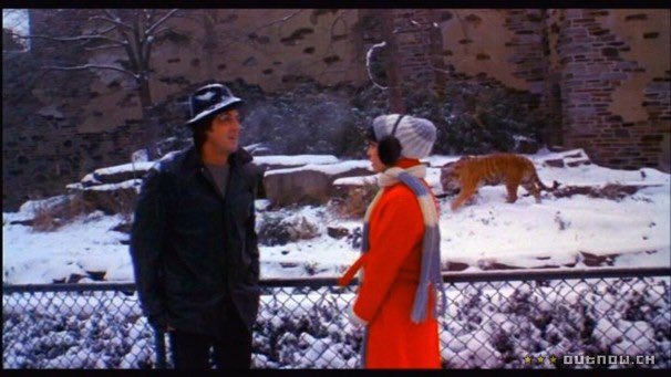 #Bales2020FilmChallenge
April 8: zoo scene in a movie

Rocky (1976)
Adrian says “I do.“ Rocky invites the tiger. 

#ZooLoversDay #Rocky #Philly