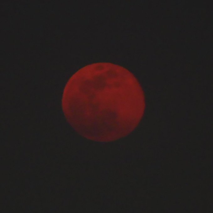 ピンクムーンのtwitterイラスト検索結果 古い順 ピンクムーンのtwitterイラスト検索結果 古い順