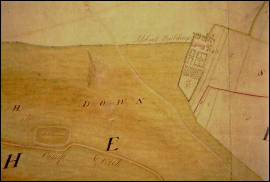 So, up the hill and onto the training area. Curious trees around as this was the old arboretum of Tilshead Lodge. [2] The garden (and Parish) boundary is provided by a Late Bronze Age linear (the old ditch) which also sites upon an even earlier entity  #SPTAarchaeology