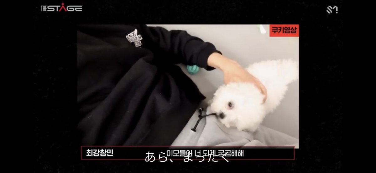 yunomariuosao's tweet photo. ミンの娘溺愛が想像を遥かに超えてるwww

#MAX   #최강창민   #TVXQ! #동방신기 #東方神起 #MAX_Chocolate   #최강창민_Chocolate   #Chocolate #당도MAX_최강창민초콜릿_D_1 
#チャンミン_CHOCOLATE https://t.co/0mBdx7qnTT