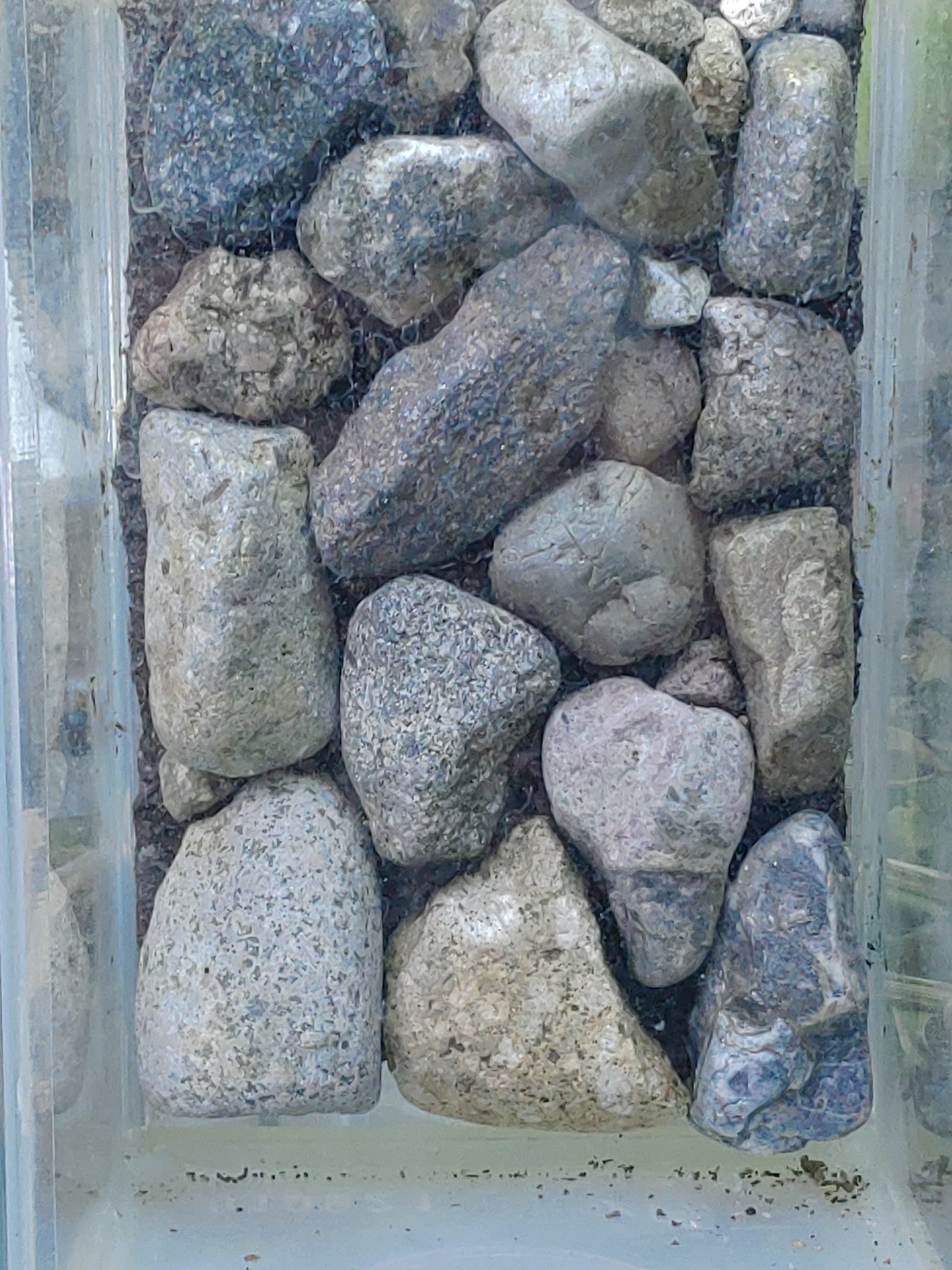 Tooru Satou 石垣風の壁面 これはガラス板を切りそこへ石を接着させています そのガラス板はこの様にコーキング剤で水槽 へくっつけているのでいざという時は剥がせます 岩の隙間はコーキング剤を適当に塗ったくり上から土などの粉微塵を掛けて後ろが透け