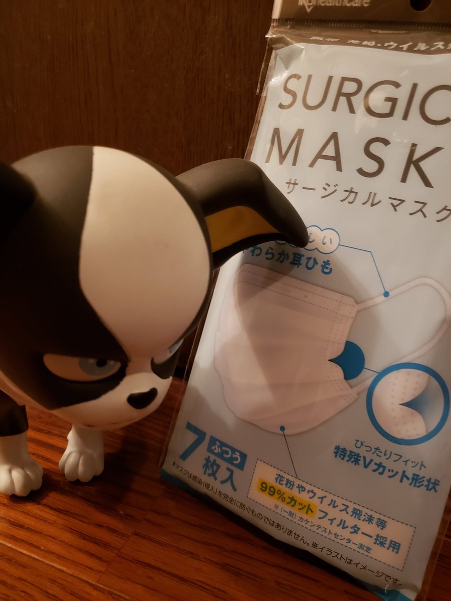 イギーかわいい Twitter Search イギーかわいい Twitter Search