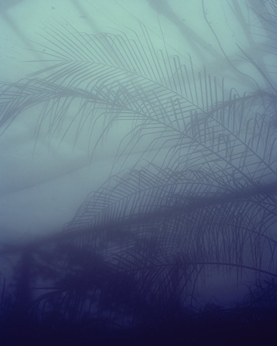 revolvcollectiv tweet media