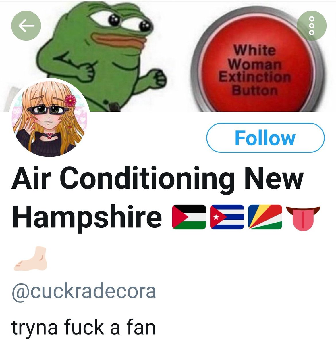 Good ol' TakeDownMRAs calls a commie a right winger because she has a Pepe in her banner.