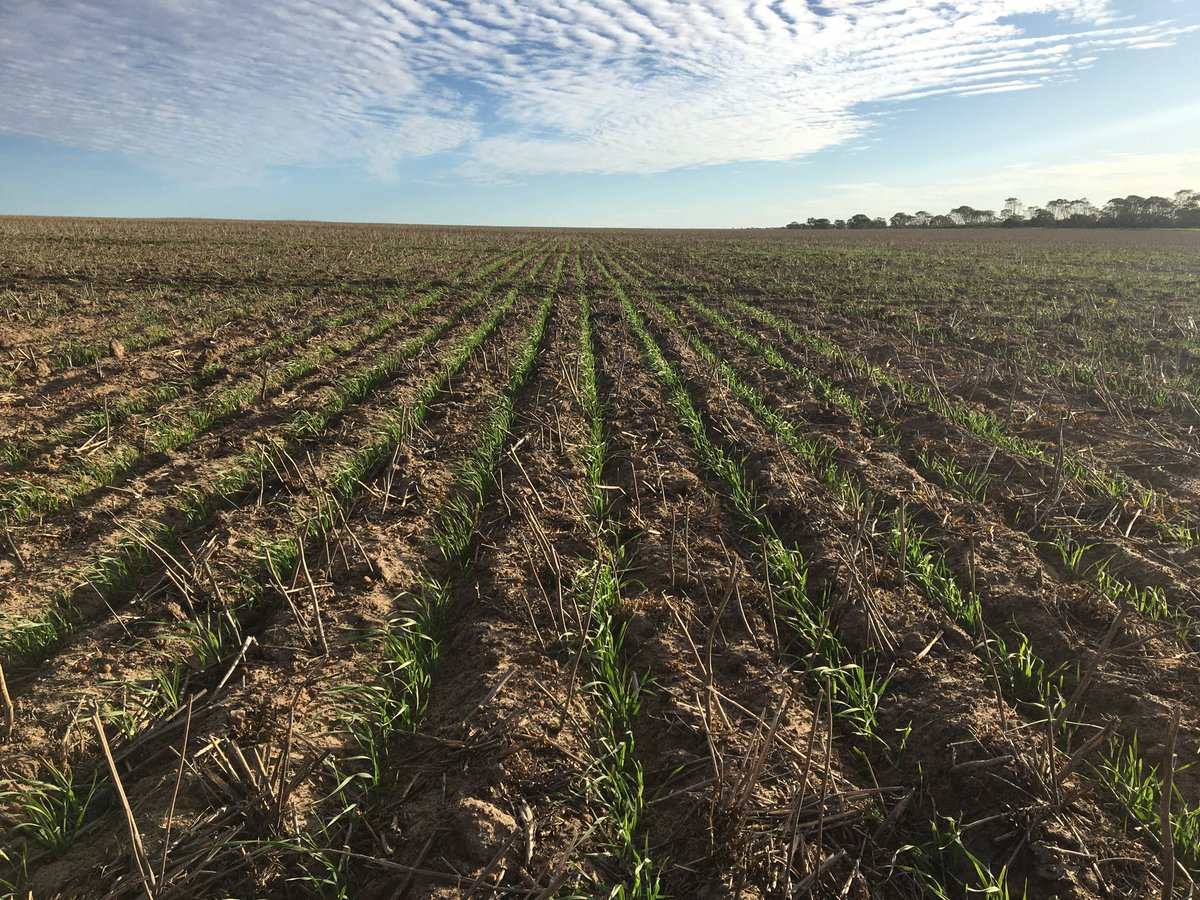 Luke Marquis tweet media