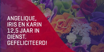 Hoera! Deze maand zijn Karin, Angelique en Iris 12,5 jaar bij ons in dienst! Van harte gefeliciteerd met het bereiken van deze mijlpaal!
#simacdrunen #jubileum #proficiat #datverdienteenbloemetje