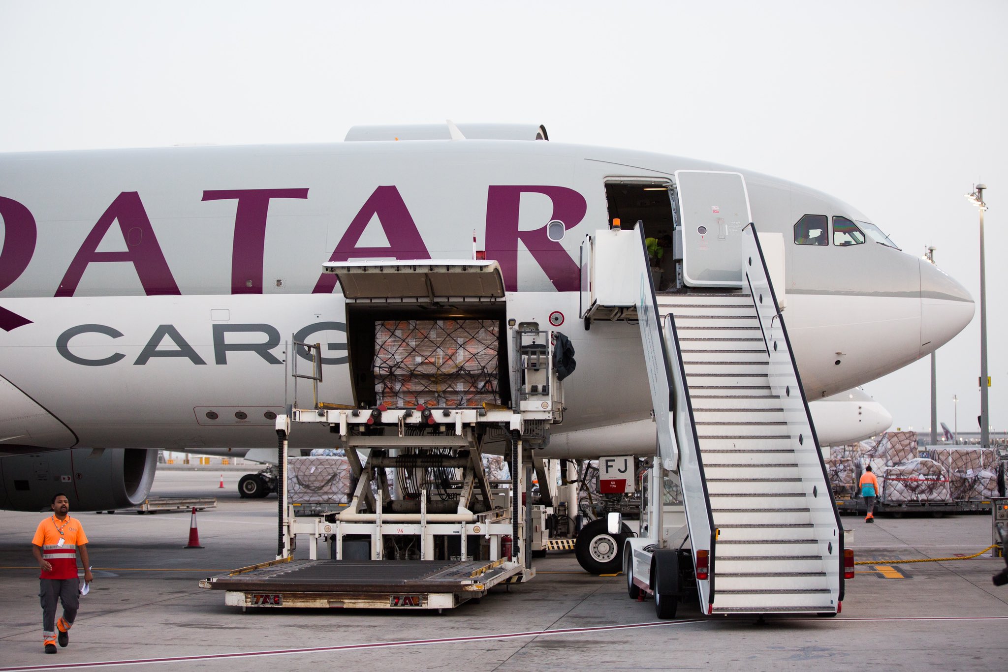 Qatar airways hotsell pet transport