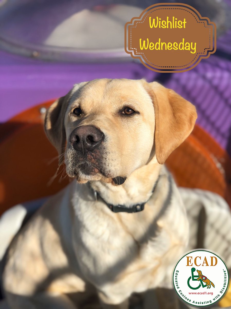 ECADServiceDogs's tweet photo. What does handsome Vega wish for the most on the wishlist? He would love some tasty liver treats! This #WishlistWednesday you can #HelpDogsWhoHelpHumans by keeping Vega and his friends happy with purchasing liver treats here: https://t.co/8hNmWNfq6y #ECADServiceDogs https://t.co/XxRkBbxz53