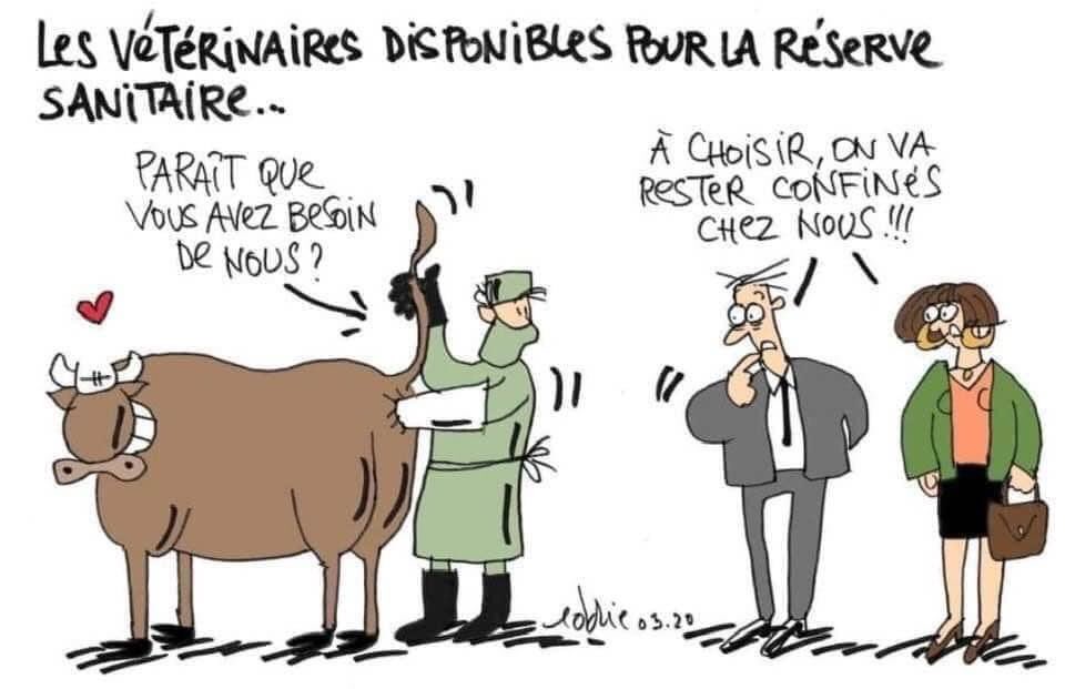 vetclavet's tweet photo. Restez chez vous, prenez un grand verre de LAIT!🥛🥛 https://t.co/ClRZfN1uOP