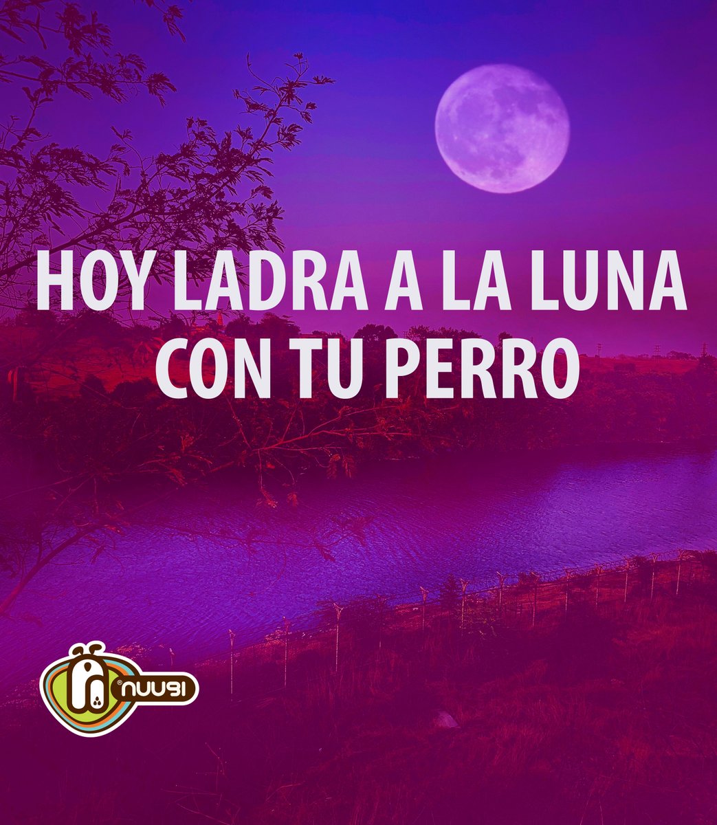 Nuugi's tweet photo. Lo mejor que puedes hacer hoy con tu perro 🐕 es ladrar juntos  la 🌜 #superluna de primavera.  #lunarosa #ladra
#dog #pets #nuugi https://t.co/XxQo4xcApI