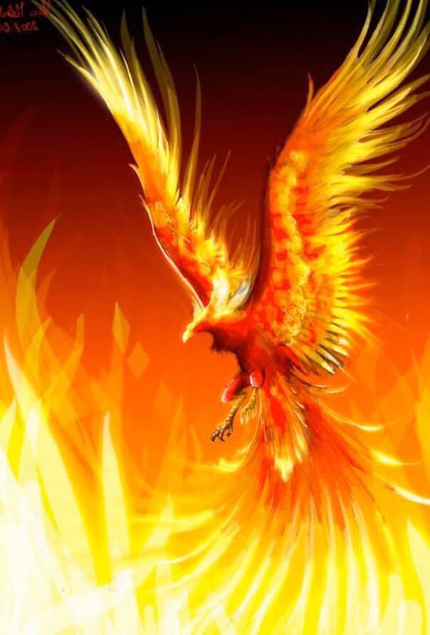 #WednesdayThoughts <a href="/KathieLGifford/">Kathie Lee Gifford</a> <a href="/aliciakeys/">Alicia Keys</a> <a href="/khloekardashian/">Khloé</a>