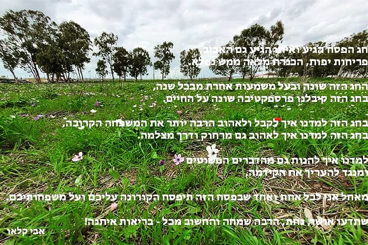 aviaklau's tweet photo. ברכה לחג הפסח השנה https://t.co/QPmpLVFqQX