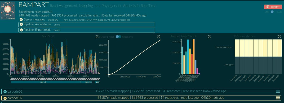 kirstynbrunker's tweet photo. A thing of beauty (for @nanopore geeks)- over 80% barcoding efficiency using @NetworkArtic @Scalene tweaks on ONT barcoding ligation protocols for #COVID19. Massive improvement to sequencing efficiency! #minion #realtimesequencing #ngs @ElihuAranday https://t.co/hk96c0saxU